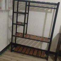 رگال نو