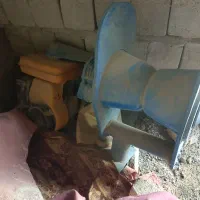 وینج کری (میش ماهی)