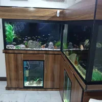 فروش آکواریوم قابل معاوضه