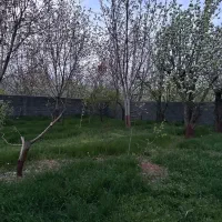 فروش باغ/زمین ۳۰۹ متر دماوند وادان