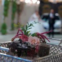 عکاسی و فیلم برداری از مجالس عروسی و عقد