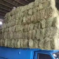 یونجه|عمده‌فروشی|صحنه, |دیوار