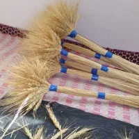 گندم|گل و گیاه طبیعی|تهران, امام حسین|دیوار