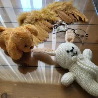تعدادی اکسسوری برای عکاسی