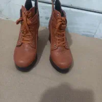 کفش|کیف، کفش، کمربند|الیگودرز, |دیوار