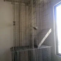 قفس 8 خان