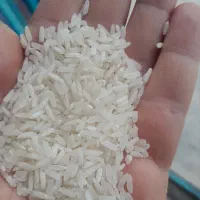 حراج برنج سفید پاکستانی درجه یک(قندوروغن)(کالابرگ
