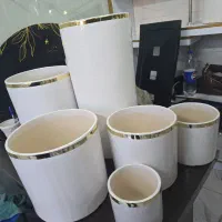 تعدادی گلدان