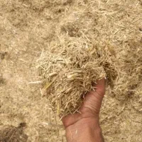 ۷ انبار کاه دیم