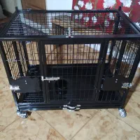 قفس پانسیونی  سگ و گربه و پرنده