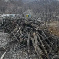 خرید چوب و فروش ذغال