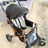 کالسکه دلیجان مدل بنیتا
