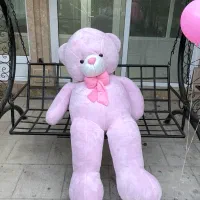 خرس بزرگ نو
