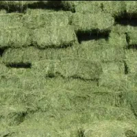 پرس یونجه