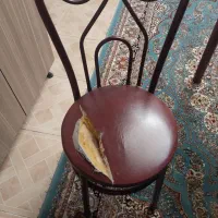 میز ناهار خوری ۶ نفره