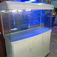 آکواریوم شرکتی