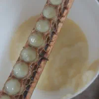 ژل رویال ایرانی