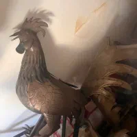 خروس علامت سایز بزرگ