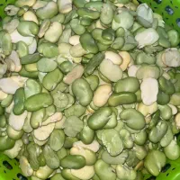 باقله لپه شده