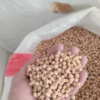 نخود سه خان کرمانشاه