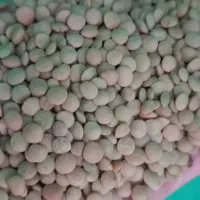 حبوبات|عمده‌فروشی|شیراز, شهرک مهدی‌آباد|دیوار