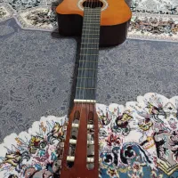 گیتار نو همراه با کیف معاوضه با سگ سرابی یا عراقی