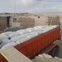 گندم. جو. قریخ. عدس. گاودانه|عمده‌فروشی|تبریز, |دیوار