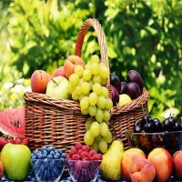 شراکت در مغازه میوه فروشی در منطقه پرتردد