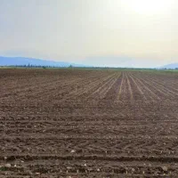 زمین کشاورزی مناسب کِشت خانه باغ سیلو پارکینگ