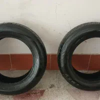 لاستیک سمندی