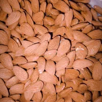 مغز بادام درختی