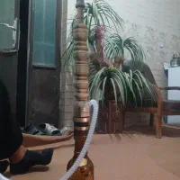 قلیون طعم لاو