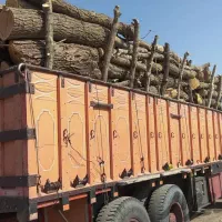 خریدوفروش انواع چوب و ذغال