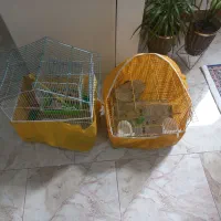 قفس پرنده