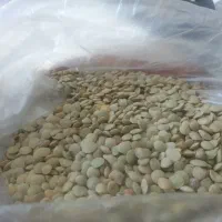 عدس قیمت ۲۰۰۰۰۰