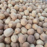 فروش ۱۵۰ کیلو لیمو خشک