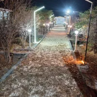 کافه دونار پدیده بکر با VIP ابارش