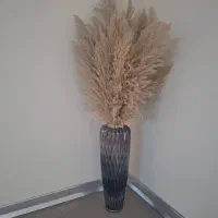 گل پامپاس با گلدان