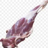 گوشت دنبه بره نرینه گردو پسته برگ زردآلو حبوبات