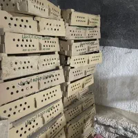 کارتن حمل جوجه