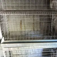 فروش قفس پرنده