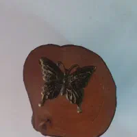 جعبه اکسسوری