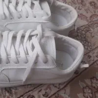 کتونی اسپرت ونس