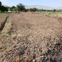 فروش زمین کشاورزی شهرک ساحلی بابهترین قیمت