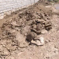 کود گوسفندی