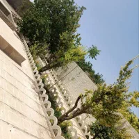 باغچه300متری