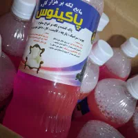 پاکینوس لکه بر هزار کاره