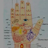 راهنمایی میکنم و مشاوره تخصصی