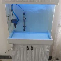 اکواریوم