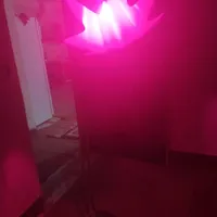 آباژور
